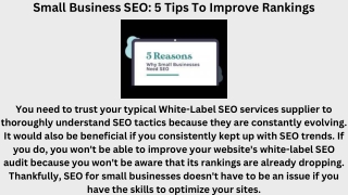 Small Business SEO 5 Tips To Improve Rankings