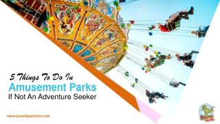 5 Things To Do In Amusement Parks If Not An Adventure Seeker