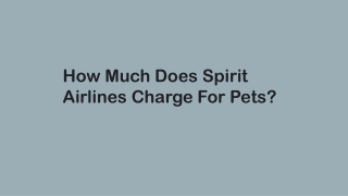 How Much Does Spirit Airlines Charge For Pets
