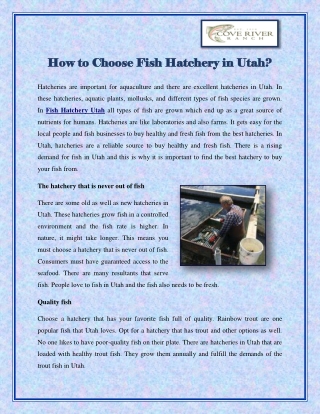 How to Choose Fish Hatchery in Utah