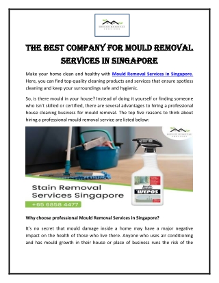 The Best Company for Mould Removal Services in Singapore