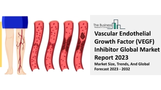 Vascular Endothelial Growth Factor (VEGF) Inhibitor Market Trends 2023-2032