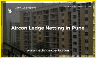 Aircon Ledge Netting in Pune