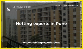 Netting experts in Pune