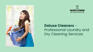 deluxe cleaners-PPT