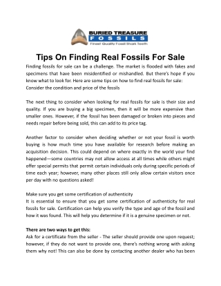 Tips On Finding Real Fossils For Sale