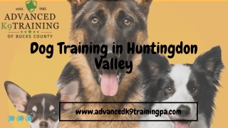 Train your dog perfectly at Dog Training in Huntingdon Valley – Advanced K9 Training