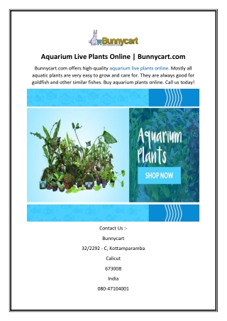 Aquarium Live Plants Online  Bunnycart.com