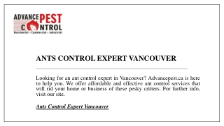 Ants Control Expert Vancouver  Advancepest.ca