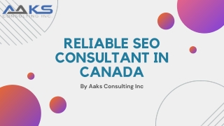 Reliable seo consultant In Canada