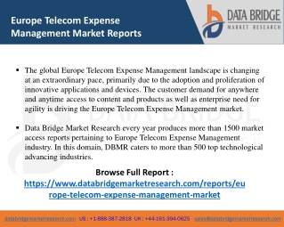 Europe Telecom Expense Management-ICT