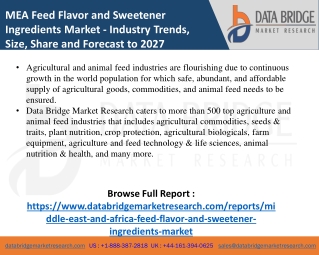 MEA Feed Flavor and Sweetener Ingredients Market- Agricultural & Animal feed