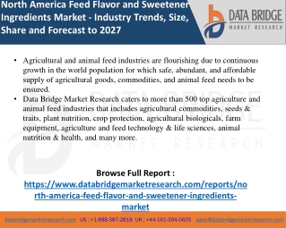 North America Feed Flavor and Sweetener Ingredients- Agricultural & Animal feed