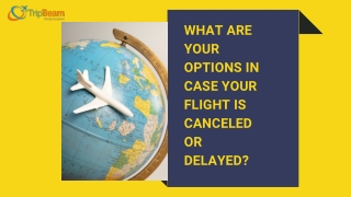 What are your options in case your flight is canceled or delayed