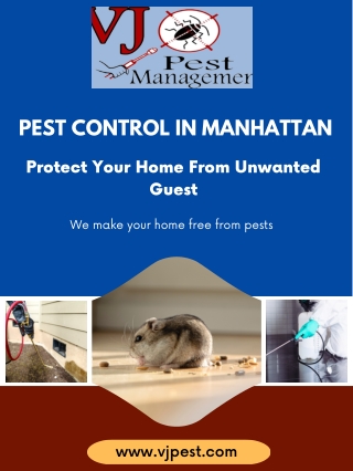 Residential Pest Control In Manhattan | VJ Pest Management