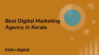 Best Digital Marketing Agency in Kerala