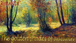 Mihai Olteanu The golden shades of autumn2