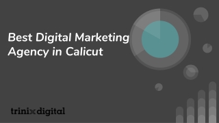 Best Digital Marketing Agency in Calicut