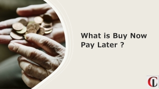 What is the " Buy Now Pay Later "? (BNPL) | Ciolookindia