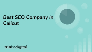 Best SEO Company in Calicut | Trinix Digital