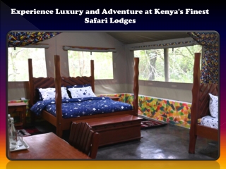 Experience Luxury and Adventure at Kenya's Finest Safari Lodges