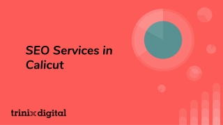 SEO Services in Calicut | Trinix Digital