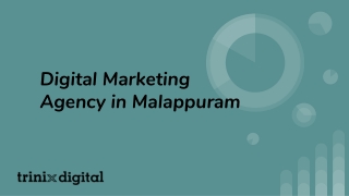 Digital Marketing Agency in Malappuram