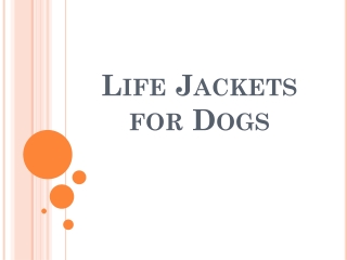 Life Jackets for Dogs