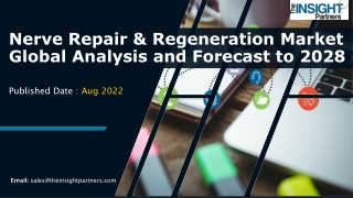Nerve Repair & Regeneration Market Trends and Future Forecasting