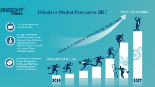Perfusion Systems Market Report, Share, Trends, Business Growth