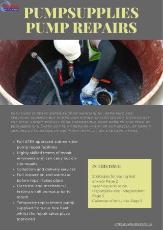 PUMPSUPPLIES Pump Repairs