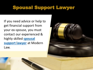 Spousal Support Lawyer