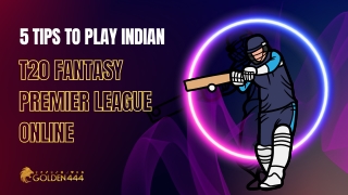 5 Tips to Play Indian T20 Fantasy Premier League Online - Golden444