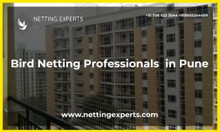 Bird Netting Professionals  in Pune