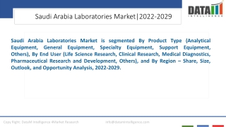 Saudi Arabia Laboratories Market Opportunities Insights 2023-2030