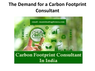 The Demand for a Carbon Footprint Consultant