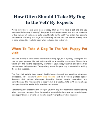 How Often Should I Take My Dog to the Vet? By Experts