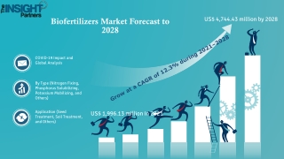 Biofertilizers Market is Estimated to Record a CAGR of 12.2% from 2022 to 2028