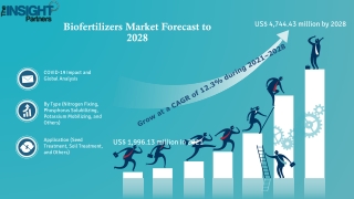 Biofertilizers Market is Estimated to Record a CAGR of 12.2% from 2022 to 2028