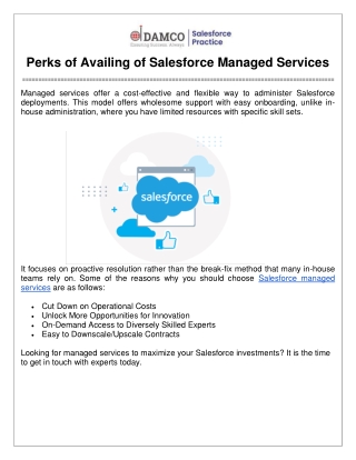 Perks of Availing of Salesforce Managed Services