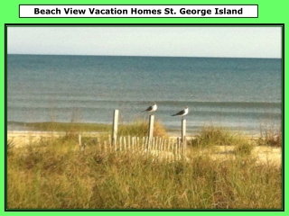 Beach View Vacation Homes St. George Island