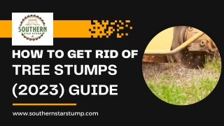 How To Get Rid Of Tree Stumps (2023) Guide