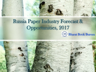 Russia Paper Industry Forecast & Opportunities, 2017