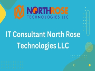 Best eCommerce SEO Company - NorthRose Technologies LLC