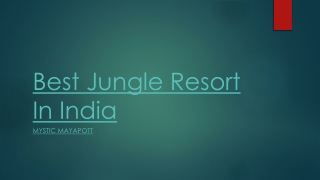 Best Jungle Resort In India