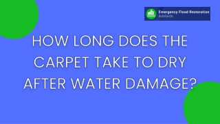 How Long Does The Carpet Take To Dry After Water Damage