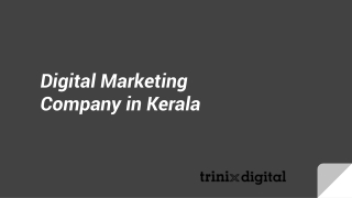 Digital Marketing Company in Kerala