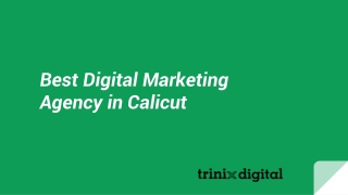 Best Digital Marketing Agency in Calicut