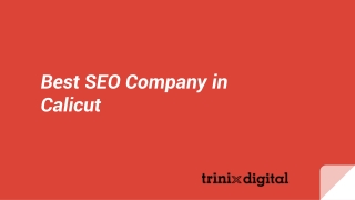 Best SEO Company in Calicut
