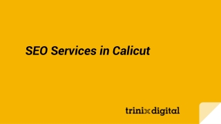 SEO Services in Calicut